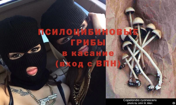 MDMA Premium VHQ Арсеньев