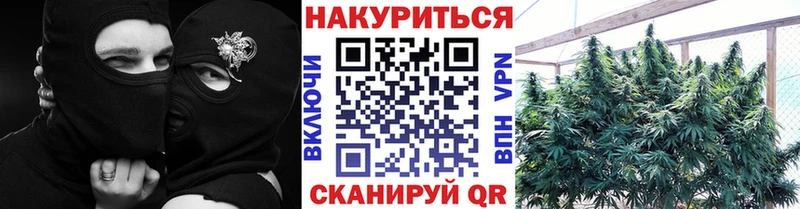 сколько стоит  Покровск  Бошки марихуана марихуана 